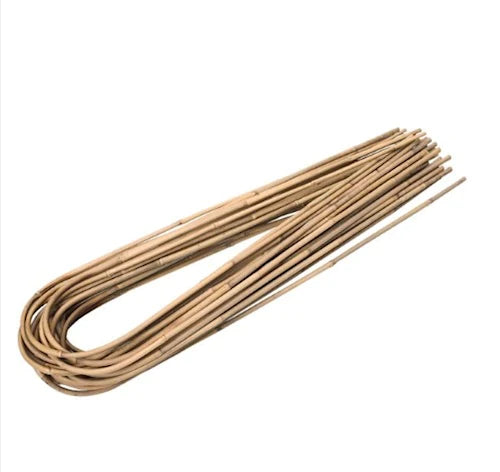 Bamboo Arch Trellis - 45cm (5 pack)