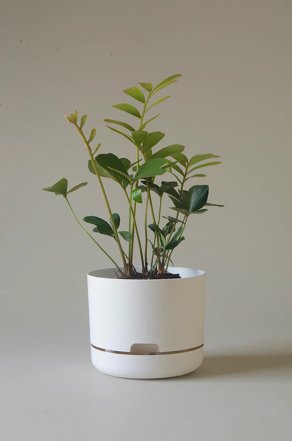 Mr Kitly Self-Watering Pot (21.5cm, white linen)