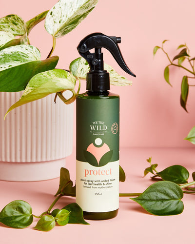 'We The Wild' - Protect Spray with Neem (250mL)